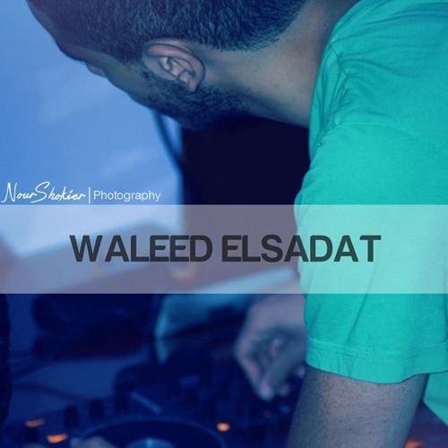 Waleed ElSadat’s avatar