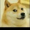 doge_coments