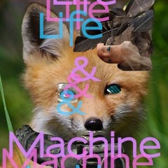 Life and Machine