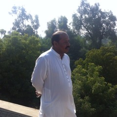 Ustad bukhari