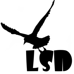 LSD band