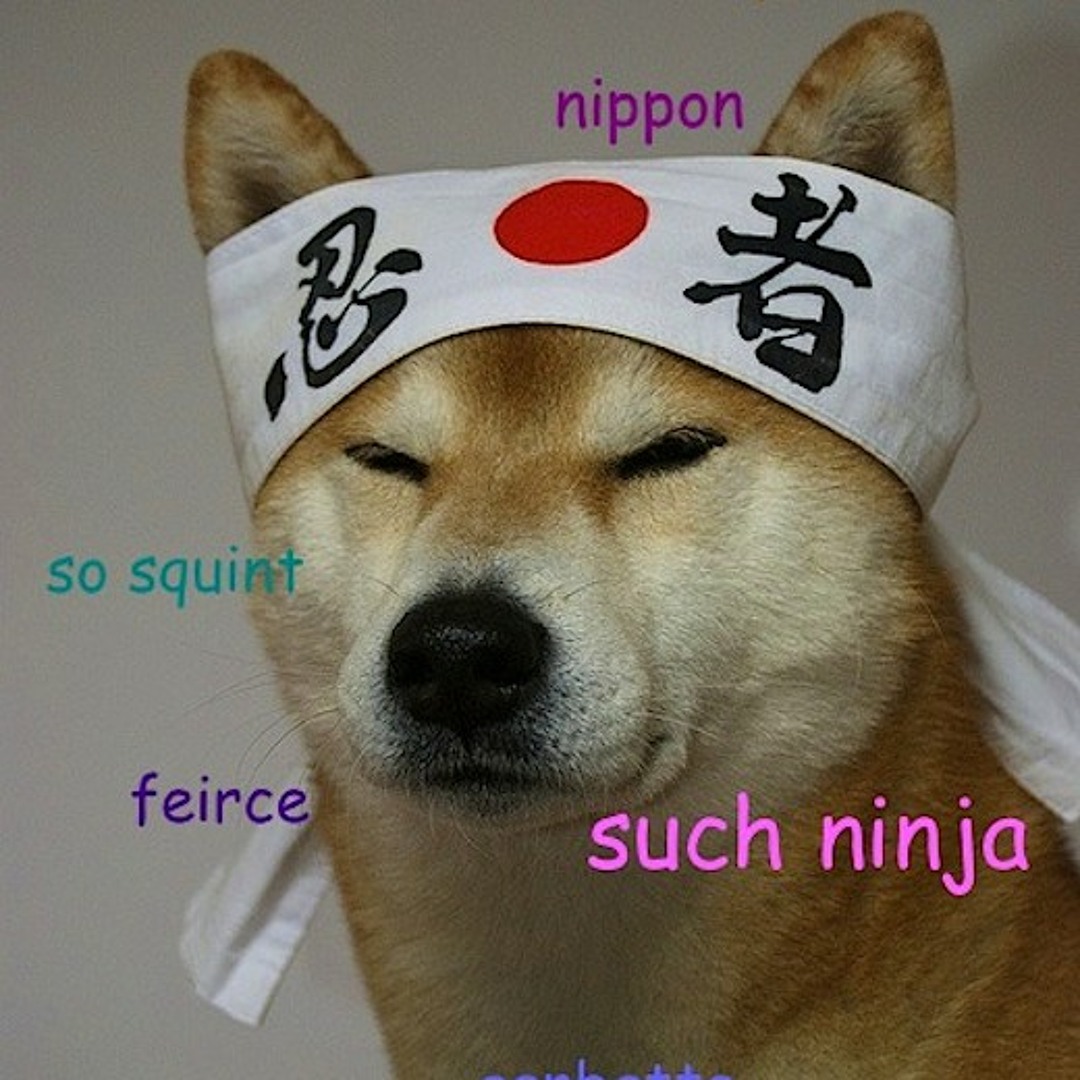 Stream Le Doge music | Listen to songs, albums, playlists for free on  SoundCloud