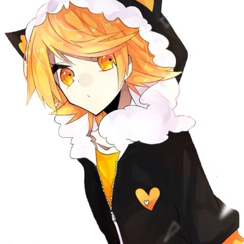 Rin Kagamine ❤’s avatar