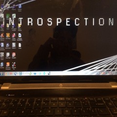 Introspection