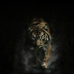 cool