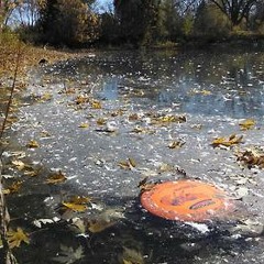 Gisselle Mcknight 2817