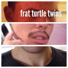 frat turtle twins