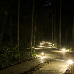 Lighted_Pathways