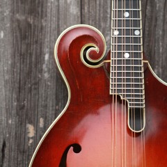 Bluegrass Banjo And Fiddle