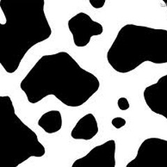 Lil_Moo