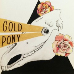 Gold Pony