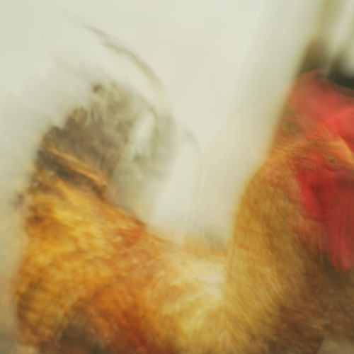 La Chanson de Prevert/APRIL MARCH