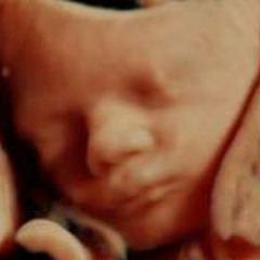 Adamnterri Lee Wilhoite