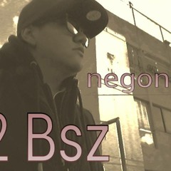 negonz  2Bsz  - Ng