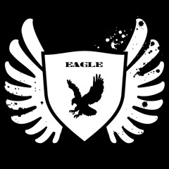 EagleBeats1133