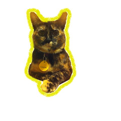 bigmustard