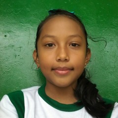 user799838828