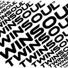 TwiNSouL
