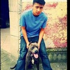 Andreuu Benjamin Lux