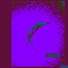 Mucus(Band)