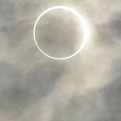 Tenley Cervantes 8854