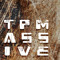 TPMassive