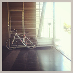 Sebastian Oyarzun Rios