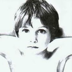 sander wonder