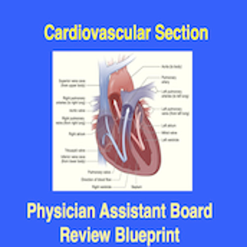 Cardiology  Blueprint’s avatar