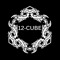 12-Cube