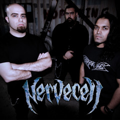 nervecellband