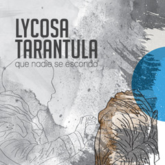 Lycosa Tarantula