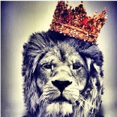 Sean (Quiet Lion) D.