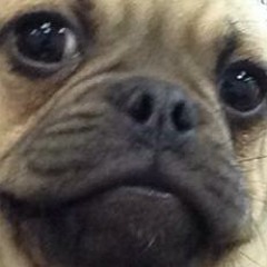 Emotional Tendencies