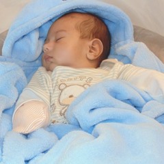 Sehmir