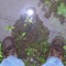 RedEyedSon