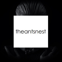 theantsnest