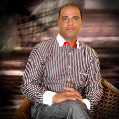 waleed fawzy aly
