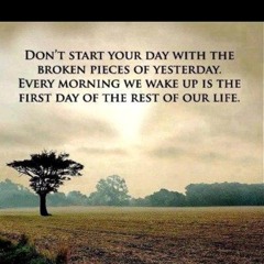 Rosetta Cami Greenaway