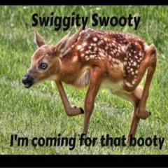 Rawrburr