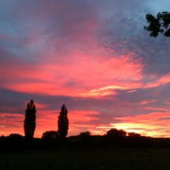 Caroline Hedgeinspector