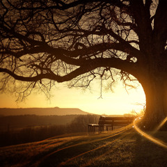 Tree-of-life2