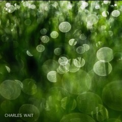 Charles Wait