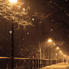 Burning Rain - Steve Vai