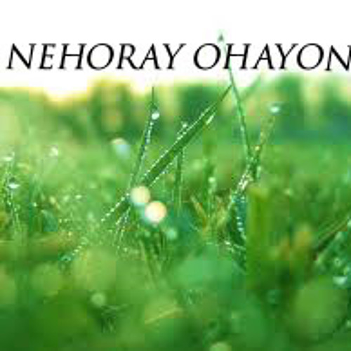 Nehoray Ohayon - Official’s avatar