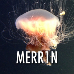 MERR1N