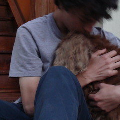 José Torres Rosales