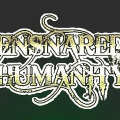 EnsnAredHumaNity