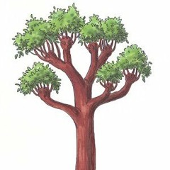 TreeGang
