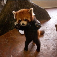 RAWR!!!!!!